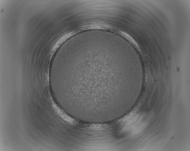 X0000067500938200604101227