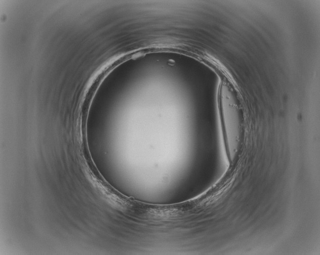 X0000067500939200604101227