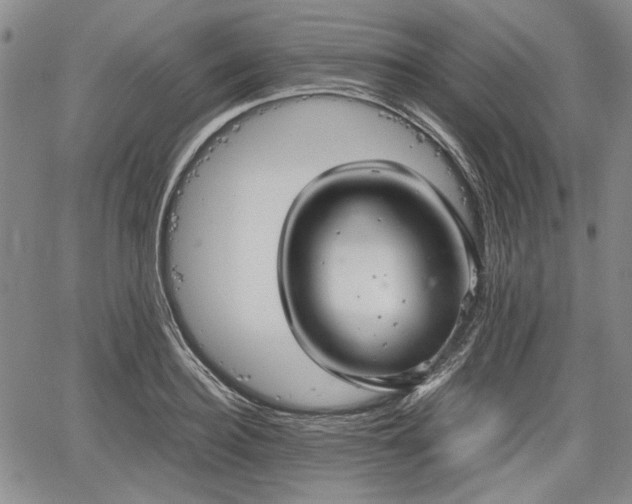 X0000067500940200604101227