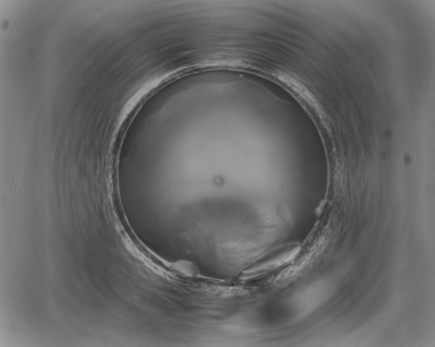 X0000067500941200604101227