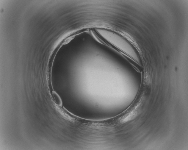 X0000067500942200604101227