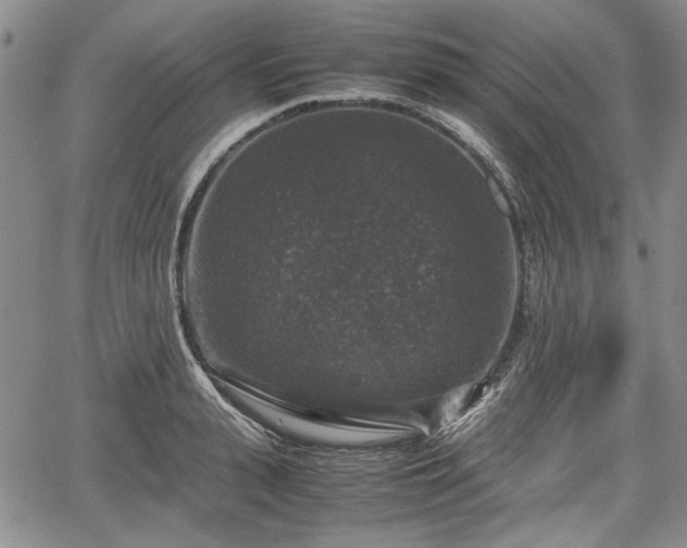 X0000067500943200604101227