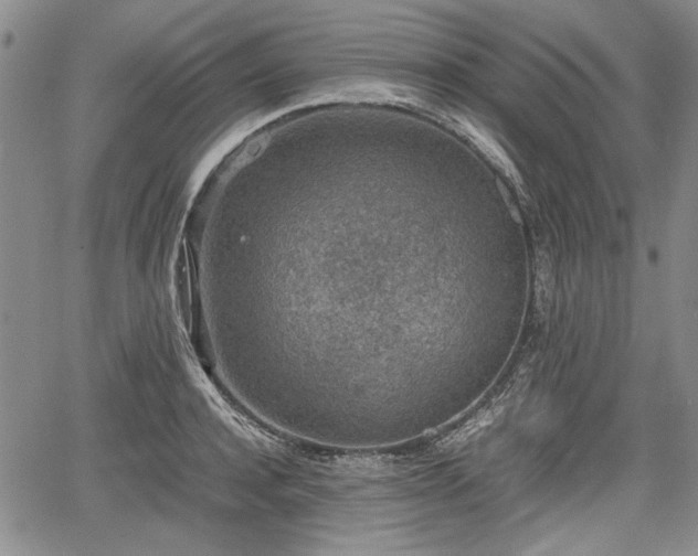 X0000067500944200604101227