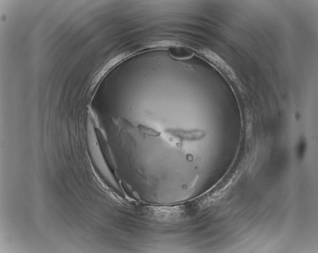 X0000067500945200604101227