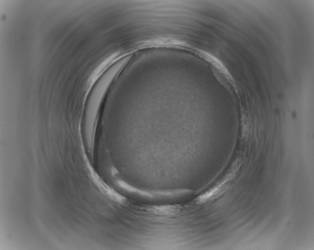 X0000067500946200604101227