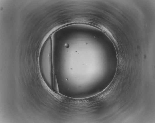 X0000067500947200604101227