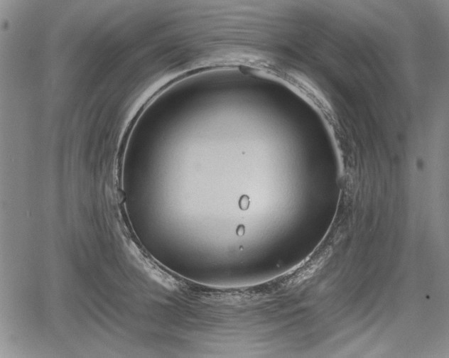 X0000067500948200604101227