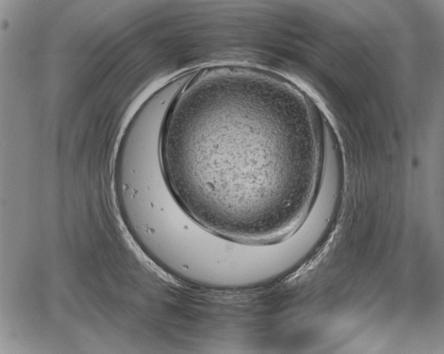 X0000067500949200604101227