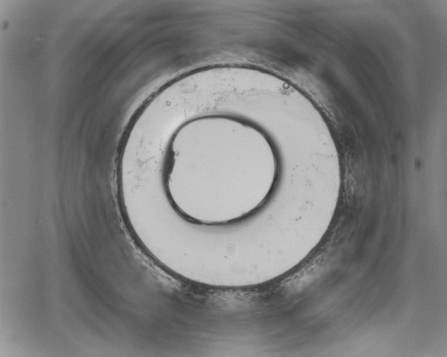 X0000067500950200604101227