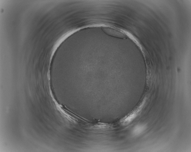 X0000067500951200604101227