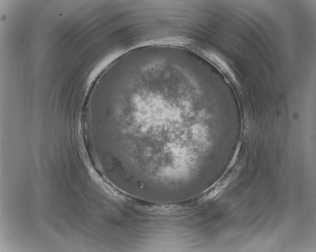 X0000067500952200604101227