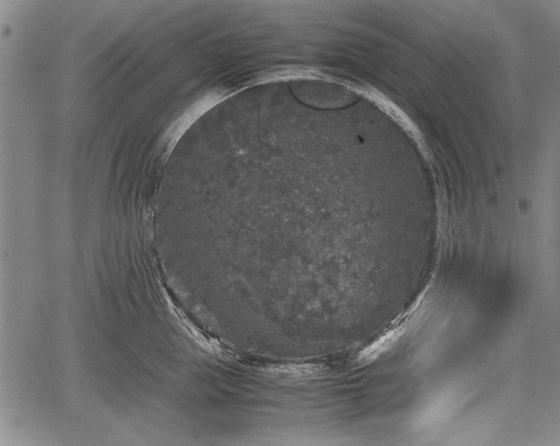 X0000067500953200604101227