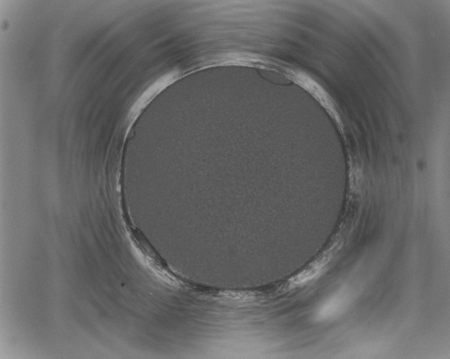 X0000067500954200604101227