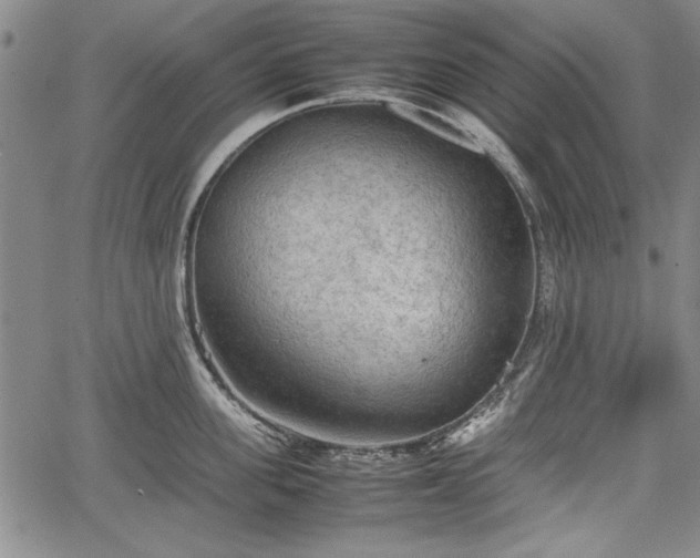 X0000067500955200604101227