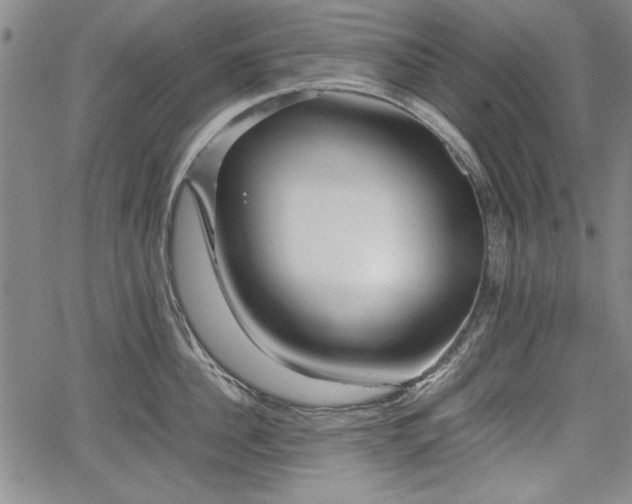 X0000067500956200604101227