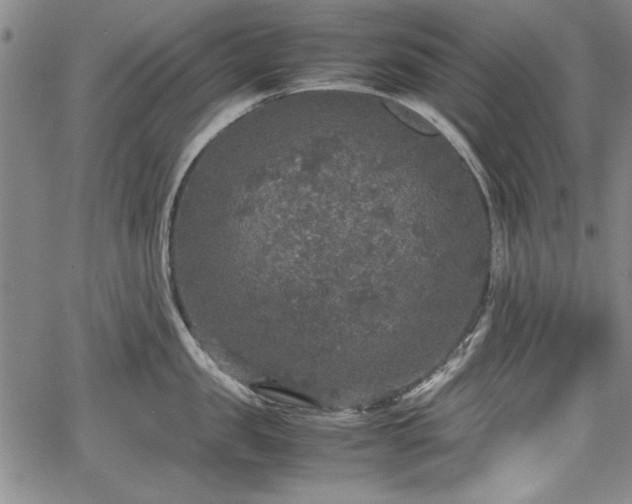 X0000067500957200604101227