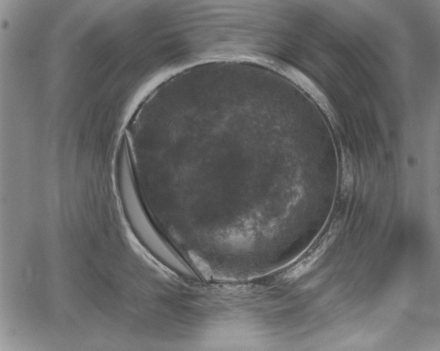 X0000067500958200604101227