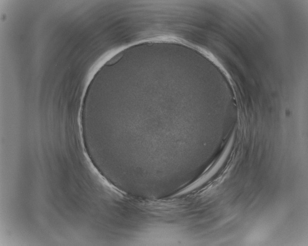 X0000067500959200604101227