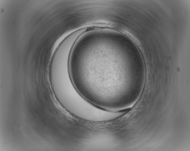 X0000067500960200604101227