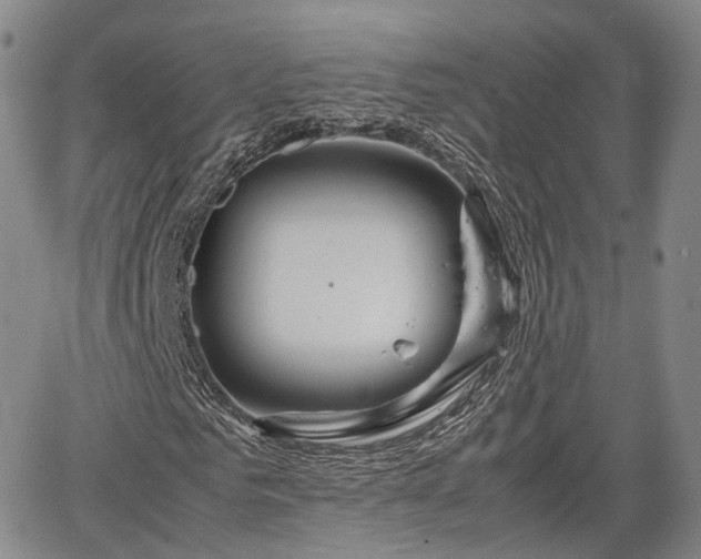 X0000067500961200604101226