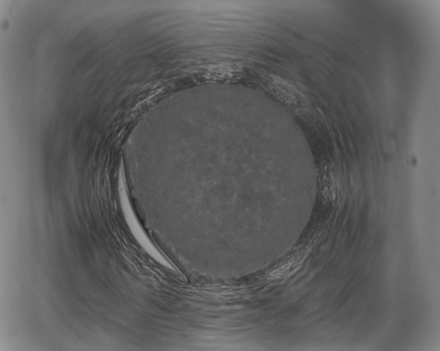 X0000067500962200604101226