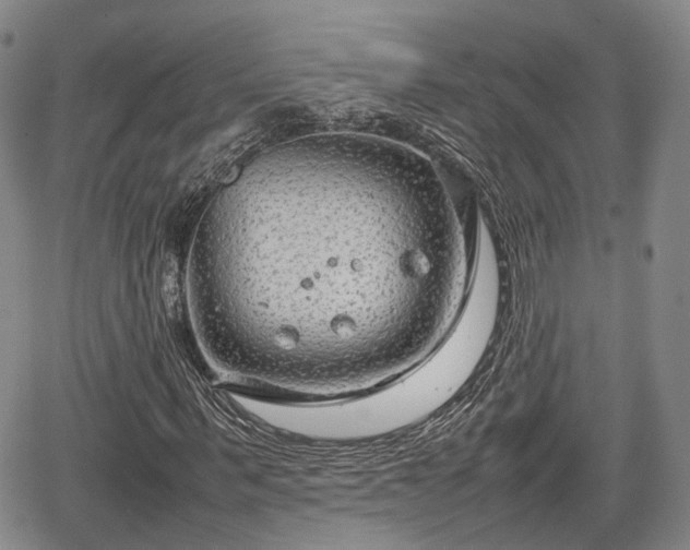 X0000067500963200604101226