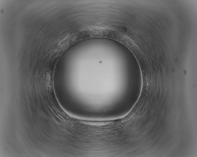 X0000067500964200604101226