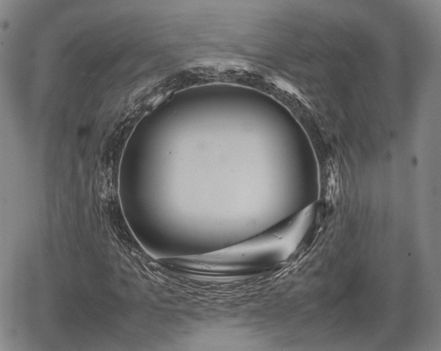 X0000067500965200604101226