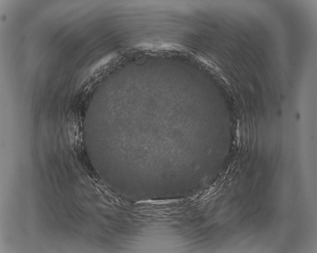 X0000067500966200604101226