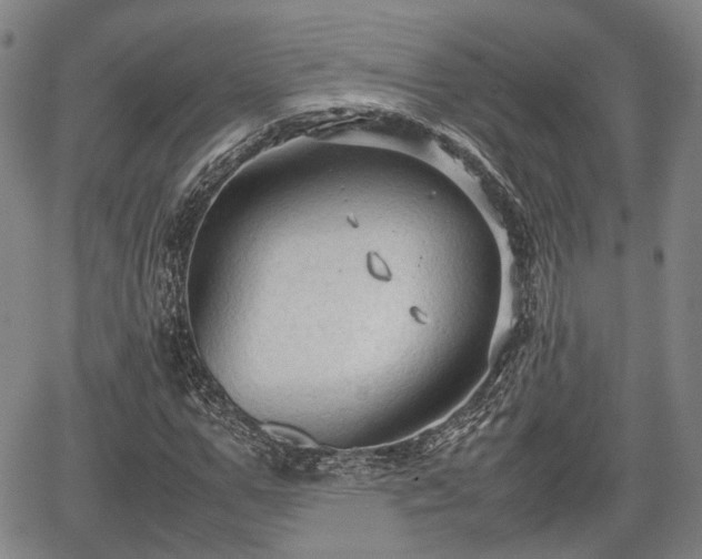 X0000067500967200604101226