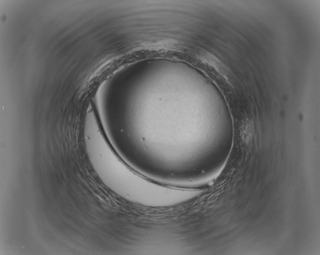 X0000067500968200604101226