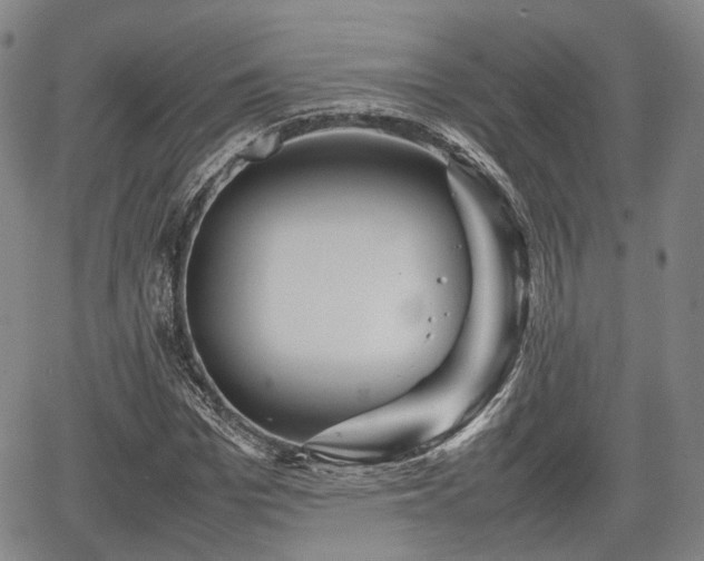 X0000067500969200604101226