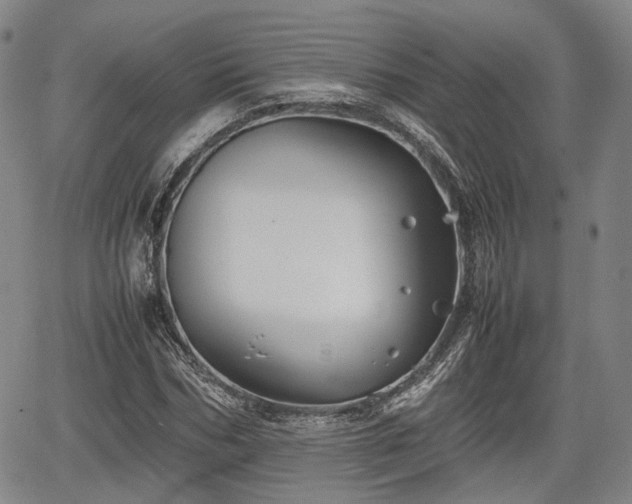 X0000067500970200604101226