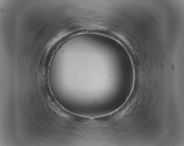 X0000067500971200604101226