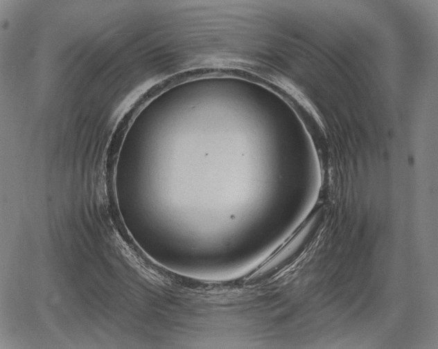 X0000067500972200604101226