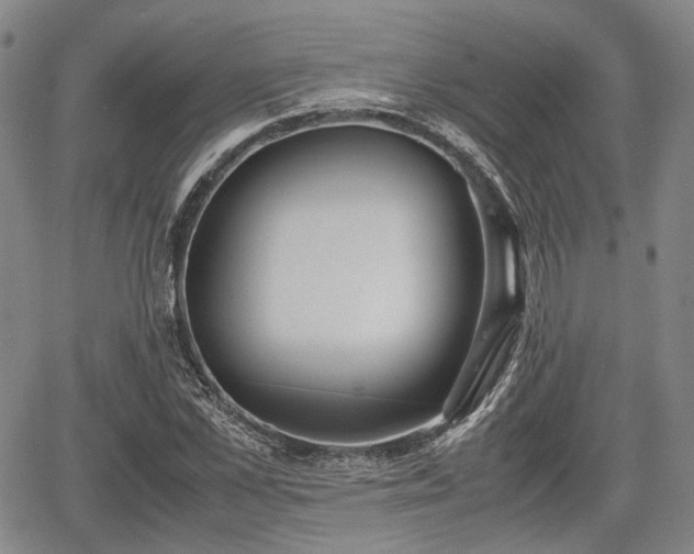 X0000067500973200604101226