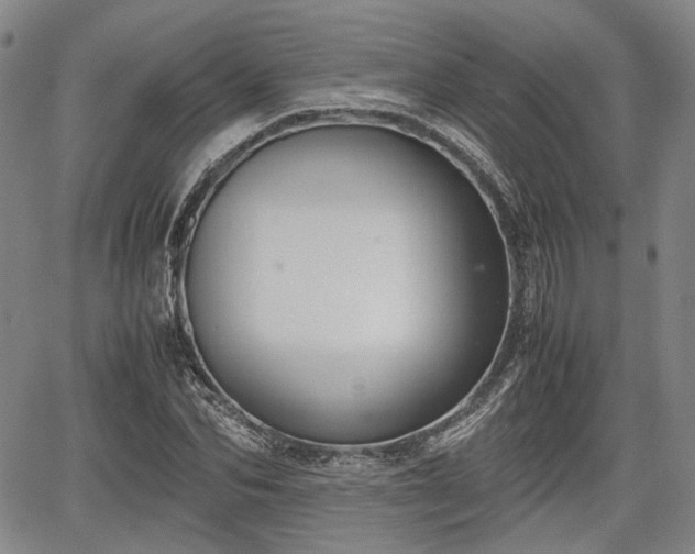 X0000067500974200604101226