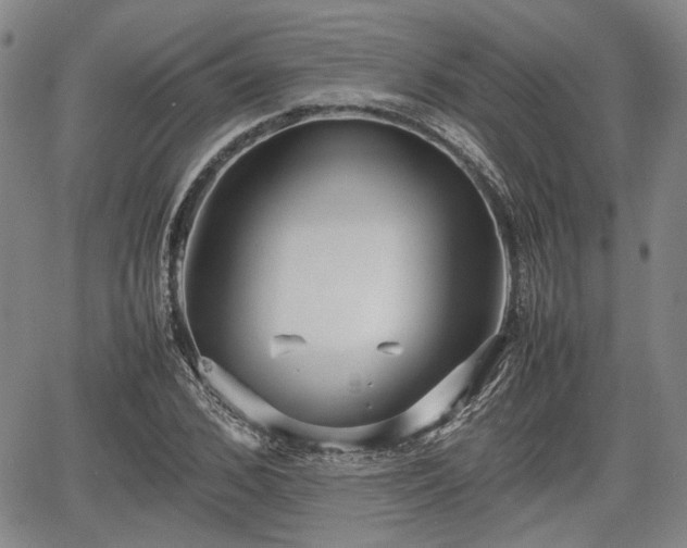 X0000067500976200604101226