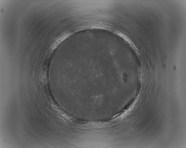 X0000067500977200604101226