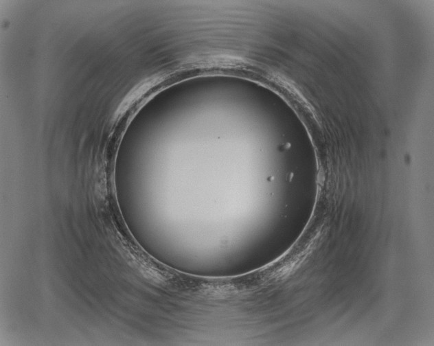 X0000067500978200604101226