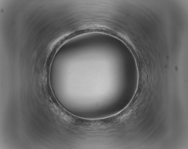 X0000067500979200604101226