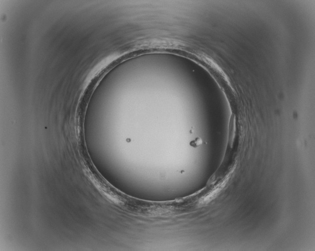 X0000067500981200604101226