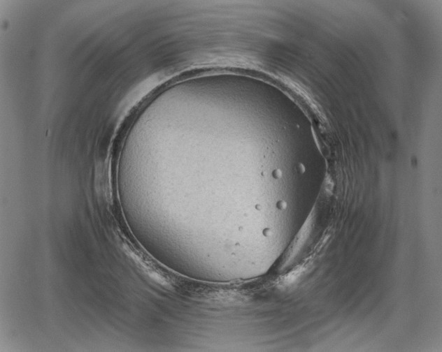 X0000067500982200604101226