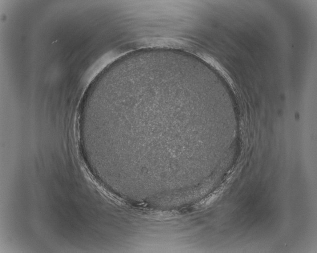 X0000067500983200604101226