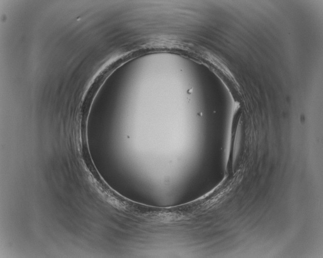 X0000067500984200604101226