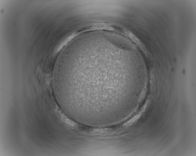 X0000067500985200604101226