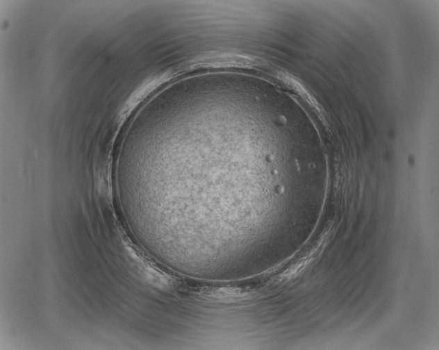 X0000067500986200604101226