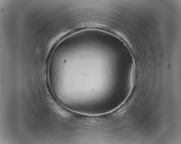 X0000067500987200604101226