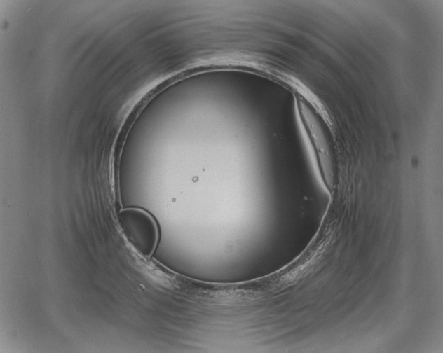 X0000067500988200604101226