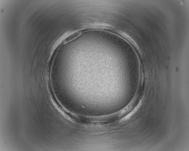 X0000067500989200604101226